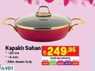 LİNES KAPAKLI SAHAN LİNES KAPAKLI SAHAN